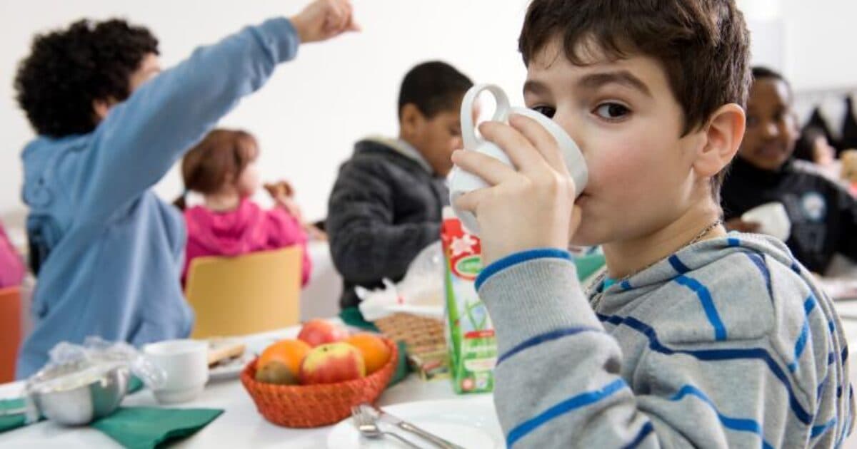 A healthy school lunch and more physical activity at primary school help tackle overweight