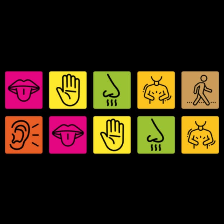Elementary school Course | Discover Sensory Processing and Integration
