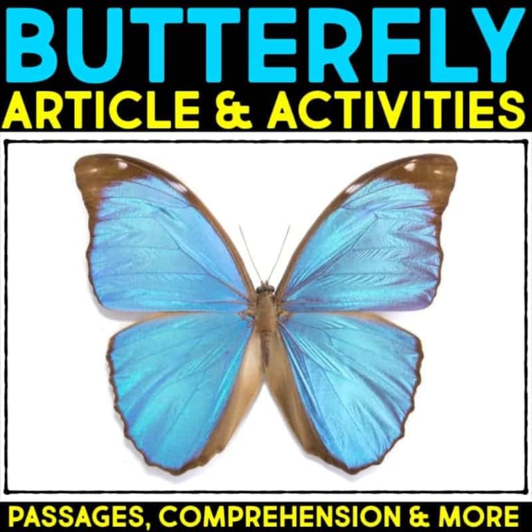 Elementary school Lesson Package | Butterfly Informational Article and Comprehension Activities