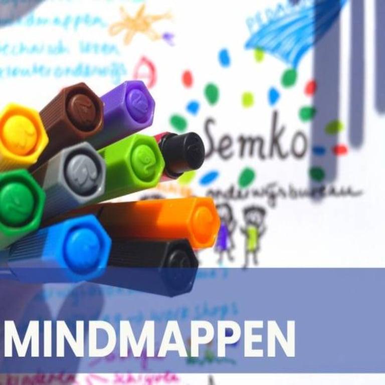 Elementary school Workshop | Mindmappen in de School