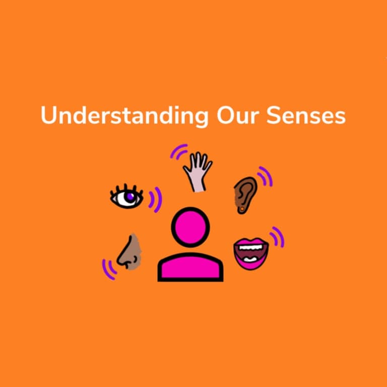 Elementary school Training | Understanding Our 8 Senses