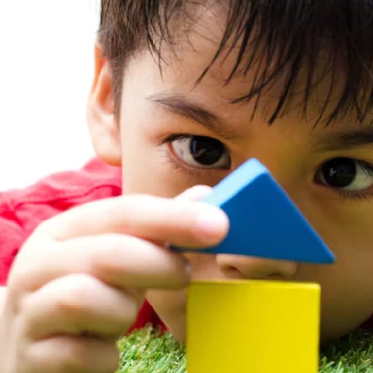 Elementary school Lesson Package | Build Me a House