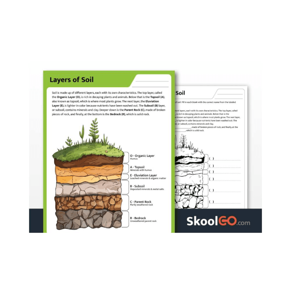 Elementary school Worksheet | Layers of Soil