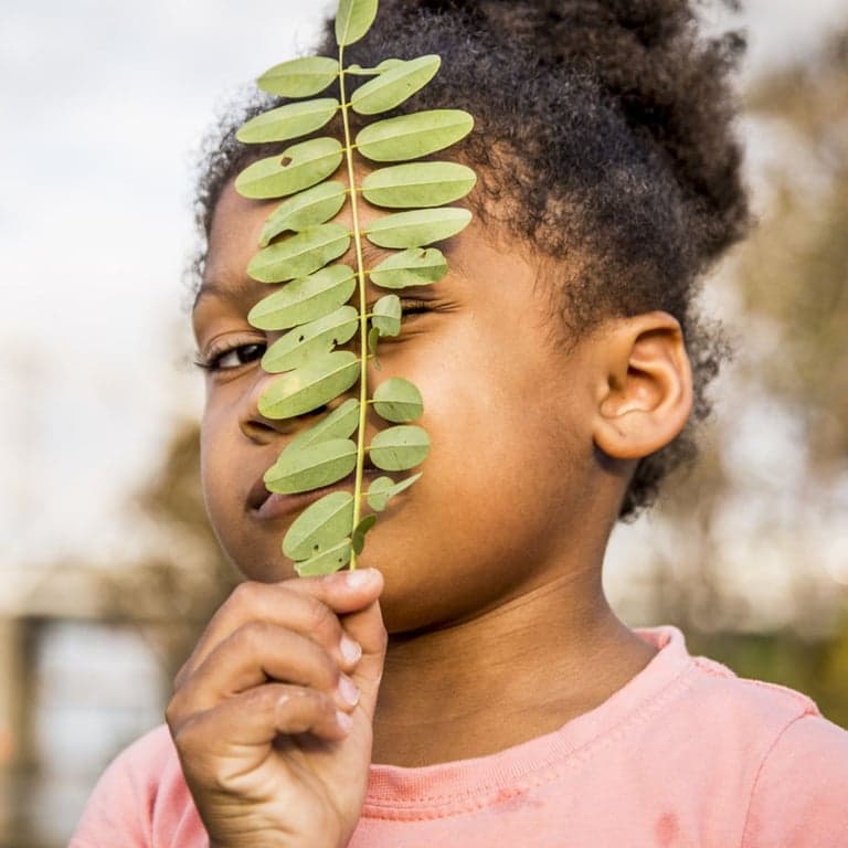 Elementary school Lesson Idea | Garden Lesson Plan: Living Systems