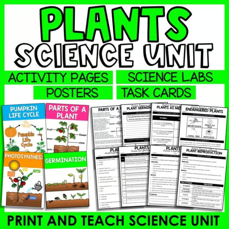 Elementary school Lesson Package | Plants