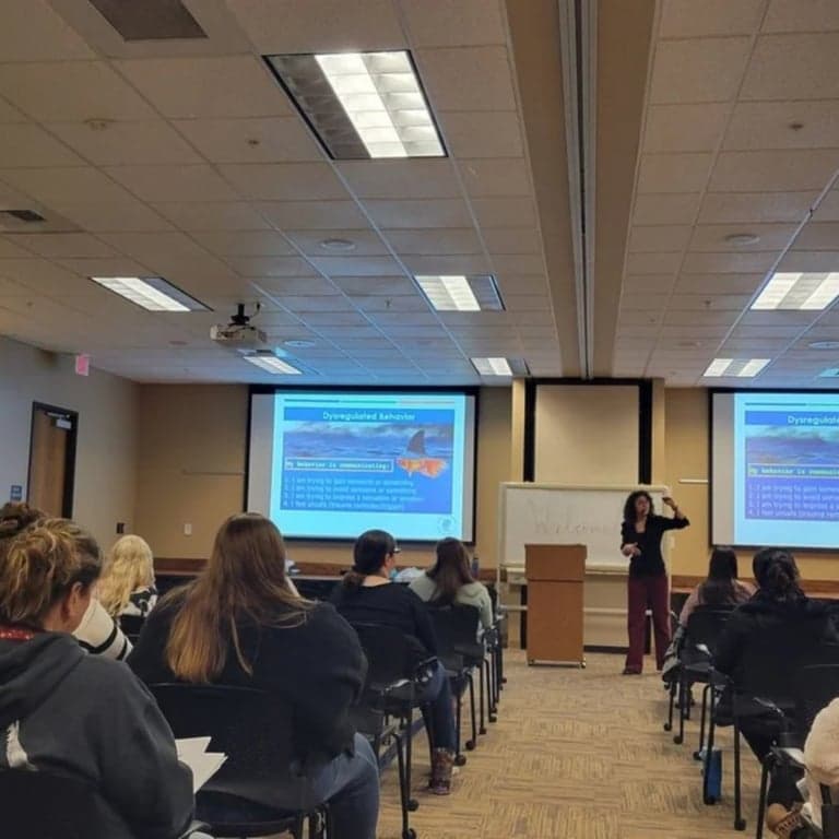 Elementary school Training | 100 Series Core Foundation (Reducing Stress): Trauma-Responsive and Resilience Building Training Modules