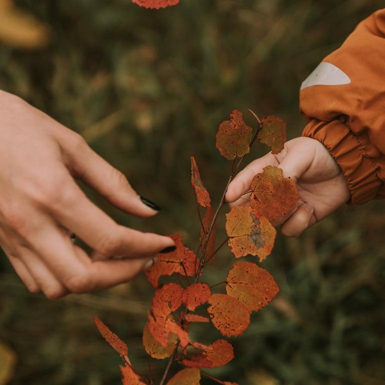 Elementary school Course | Nature Education