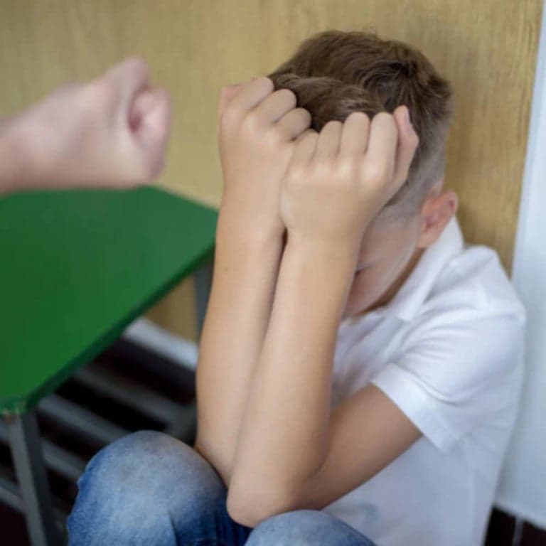 Elementary school Training | So You Have a Student With Aggressive or Violent Behavior, Now What?