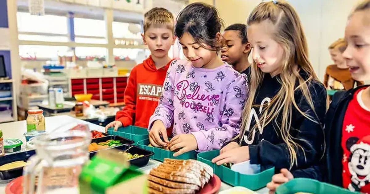More attention needed for healthy food and drinks for children