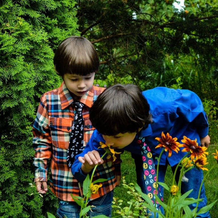 Elementary school Course | The Effects of School Gardening Activities