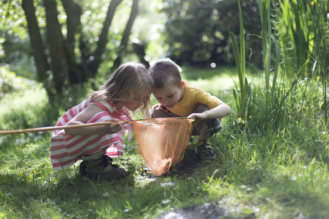 Exploratory Play