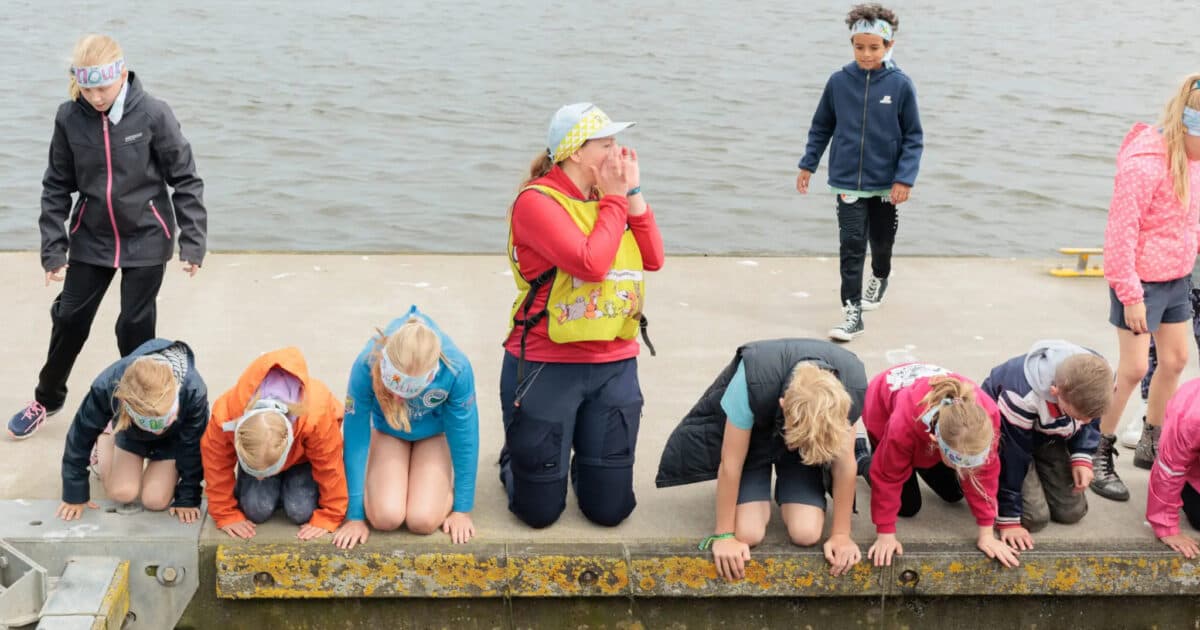 What does a day outdoors do for schools and pupils?