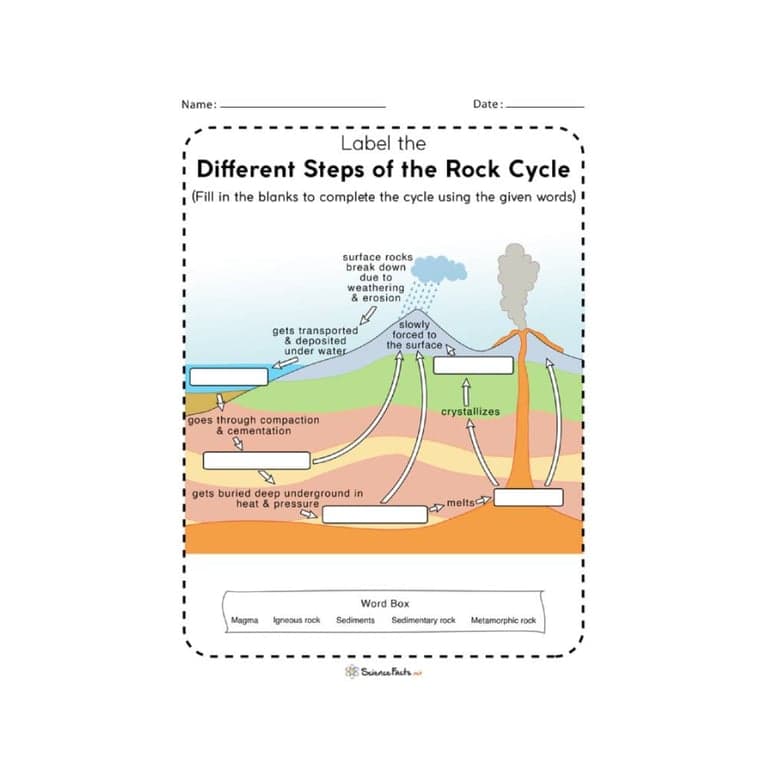 Elementary school Worksheet | Rock Cycle for Grade 4 & 5
