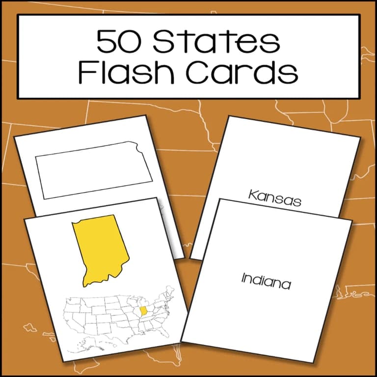 Elementary school Flashcard | 50 States Flash Cards