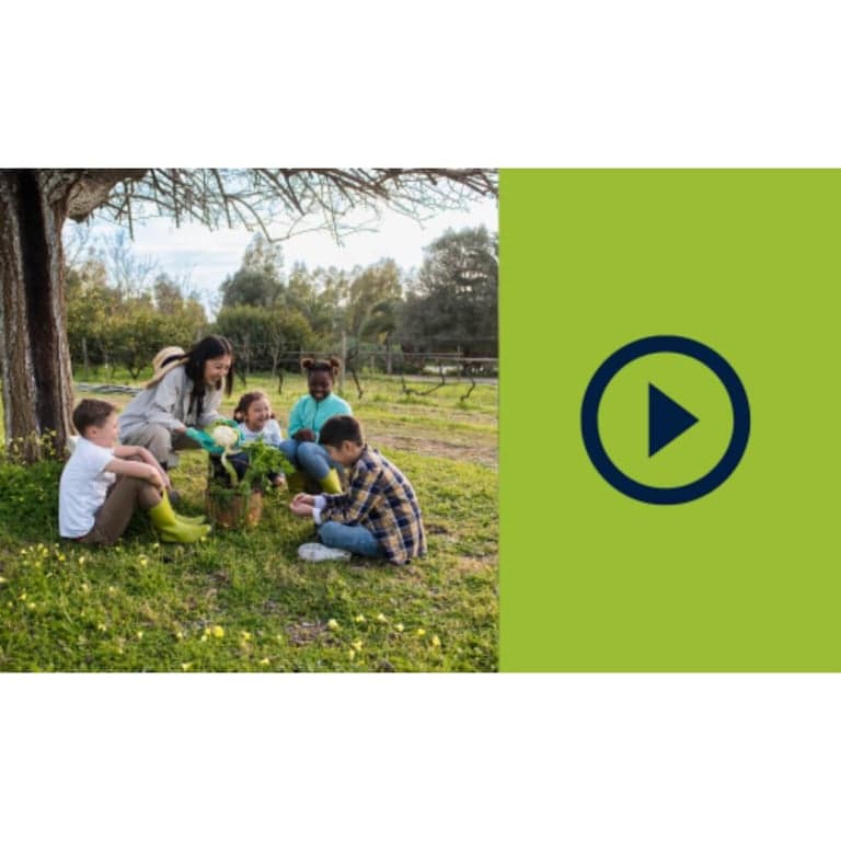 Elementary school Webinar | Building Sustainable Futures: From Learning to Leading Change