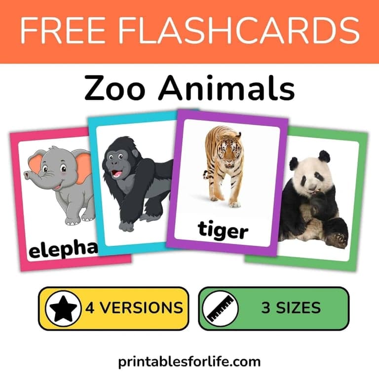 Elementary school Flashcard | Free Printable Zoo Animal Flashcards