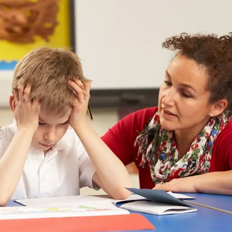 Elementary school Course | Challenging Behavior Training