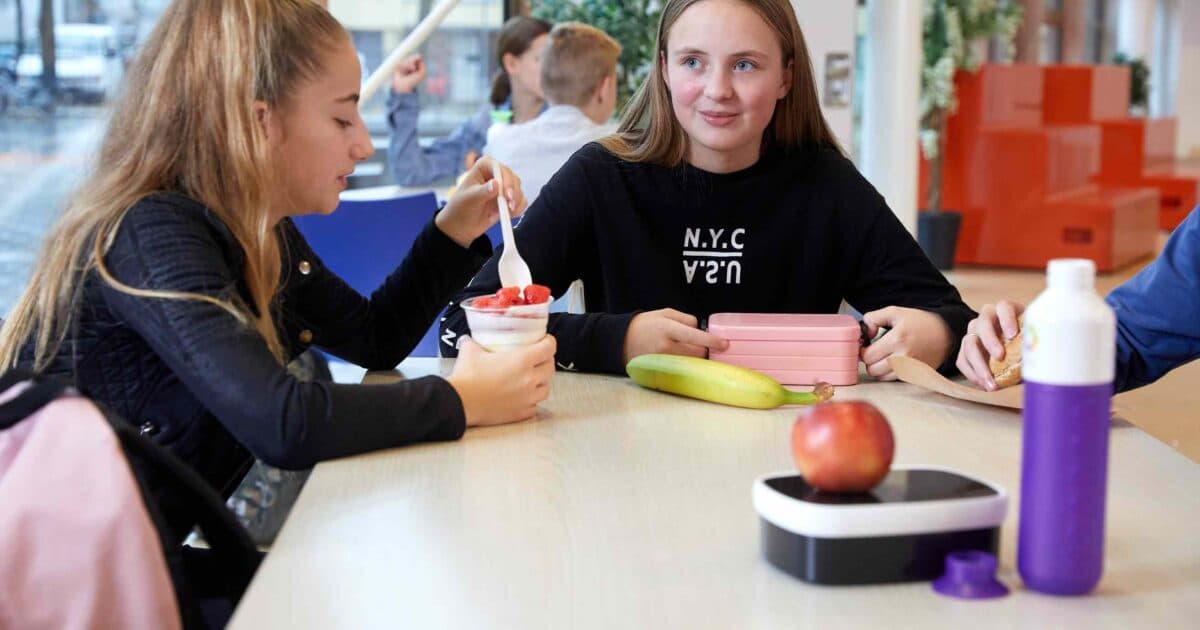 Krachtvoer teaching programme renewed and available online!