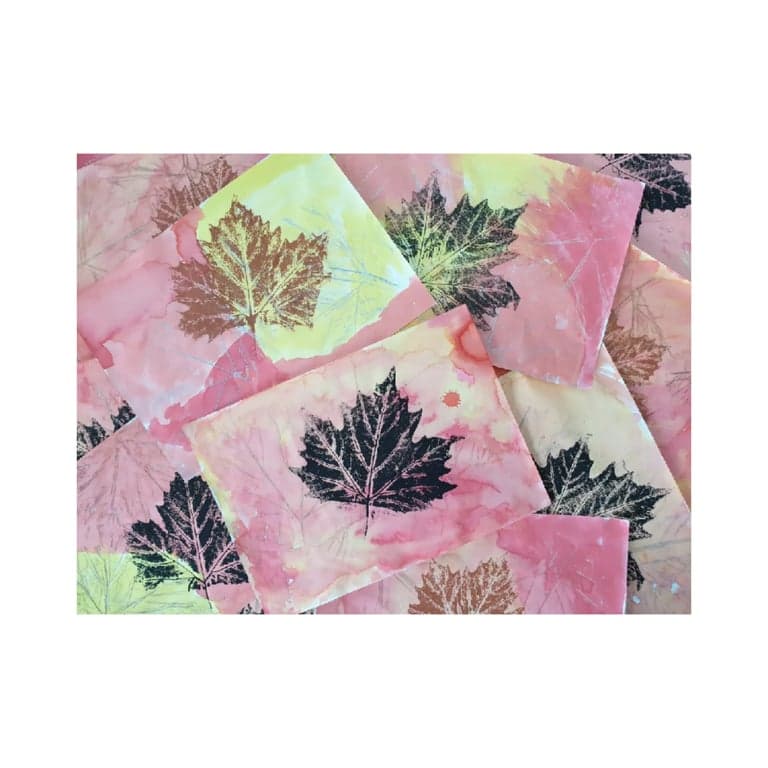 Elementary school Lesson Idea | Autumn Leaf Rubbings & Prints With Year 1&2