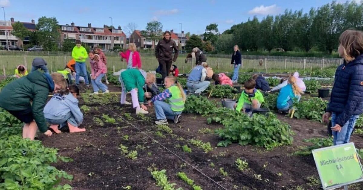 How do you put school gardening on the municipal political agenda?