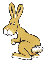 Hare