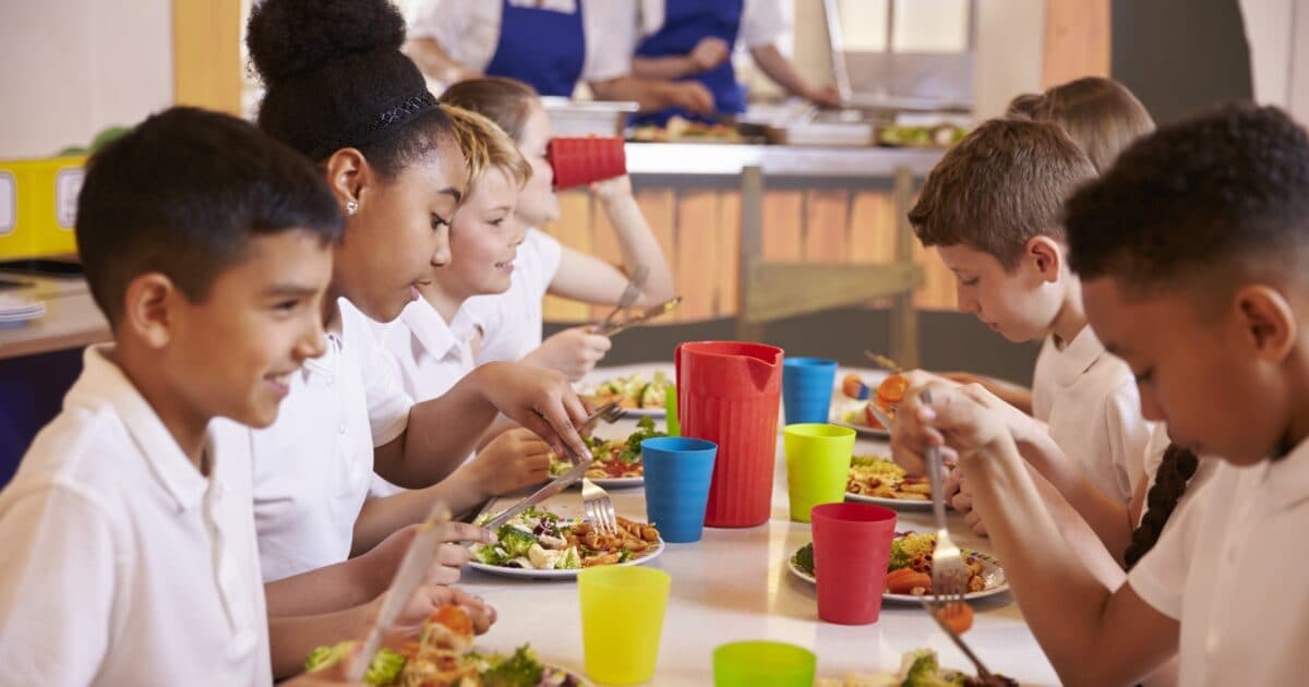 School lunches in primary education in Europe