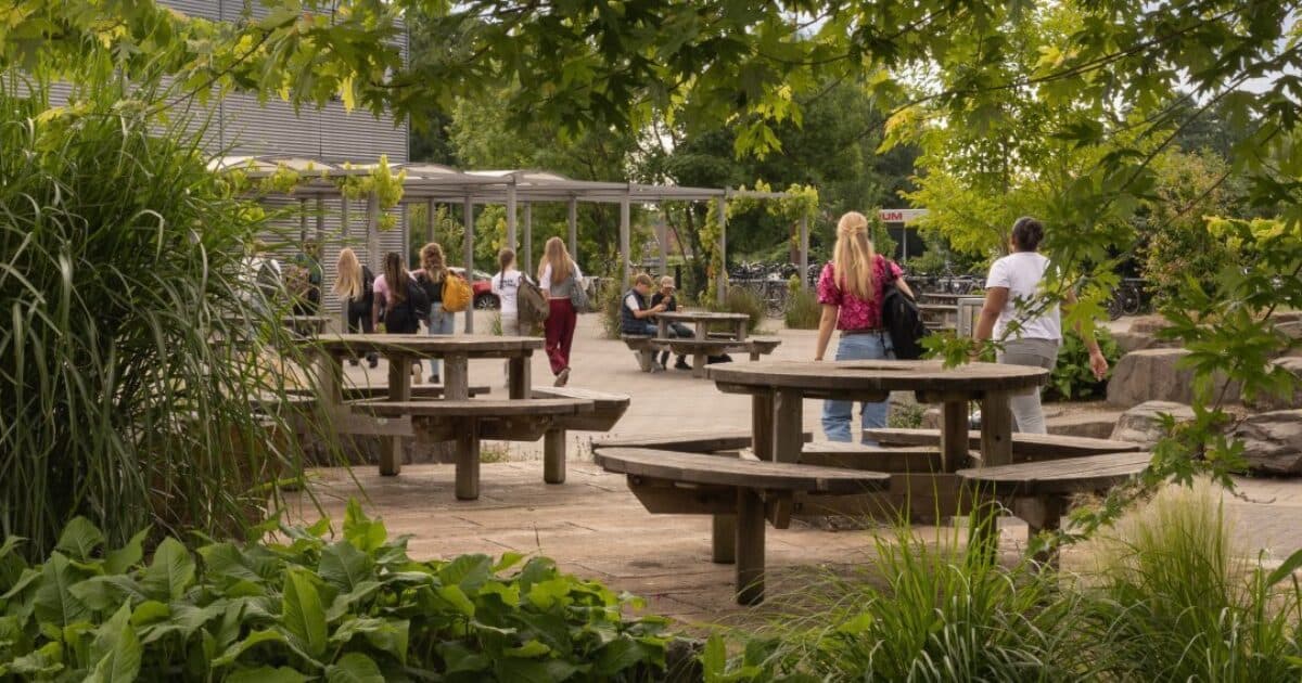 25 new green schoolyards in Noord-Brabant