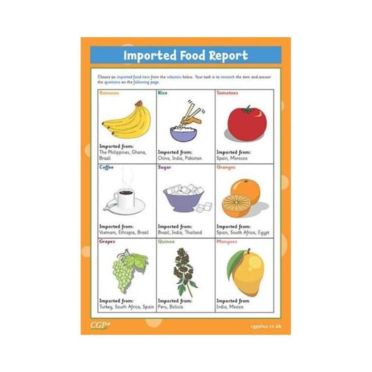 Elementary school Worksheet | Imported Food Research Activity