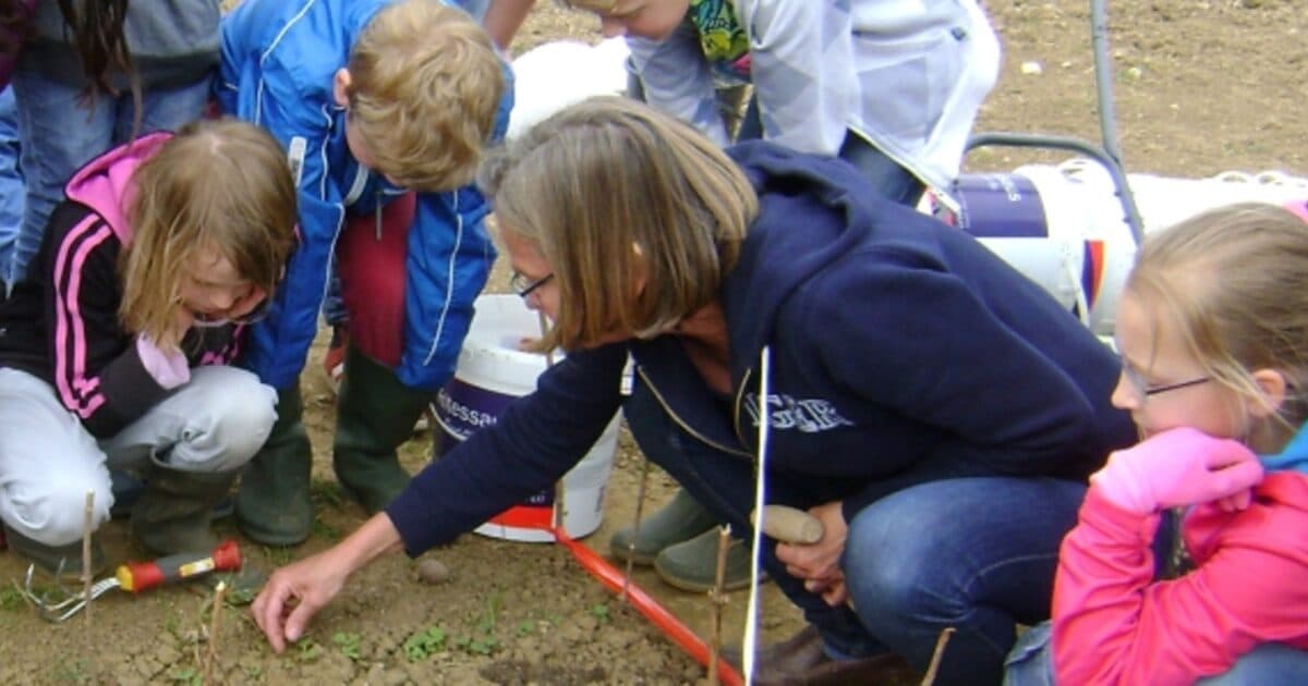 Enlist a ‘Green Hand’ for help with a green schoolyard or vegetable garden!