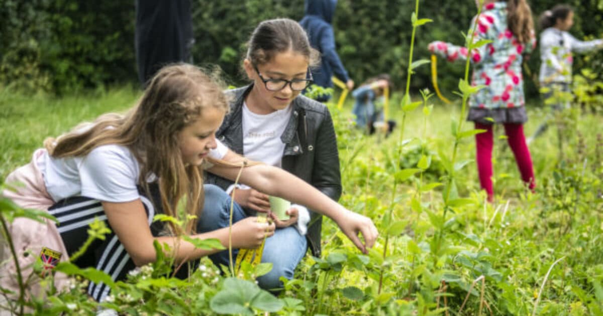 Primary school children have low nature intelligence