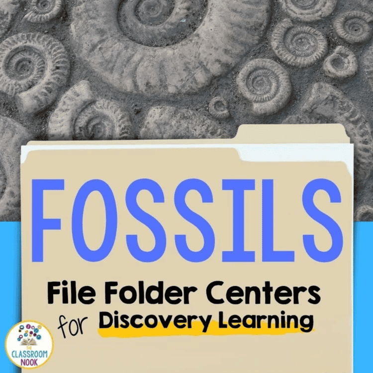 Elementary school Lesson Package | Science File Folder Centers: Fossils