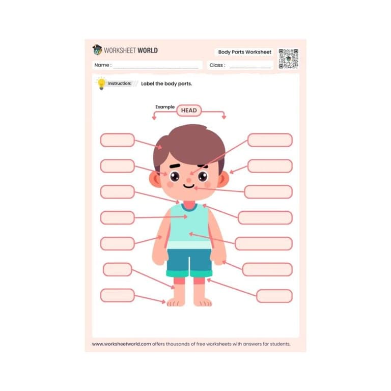 Elementary school Worksheet | Label Body Parts