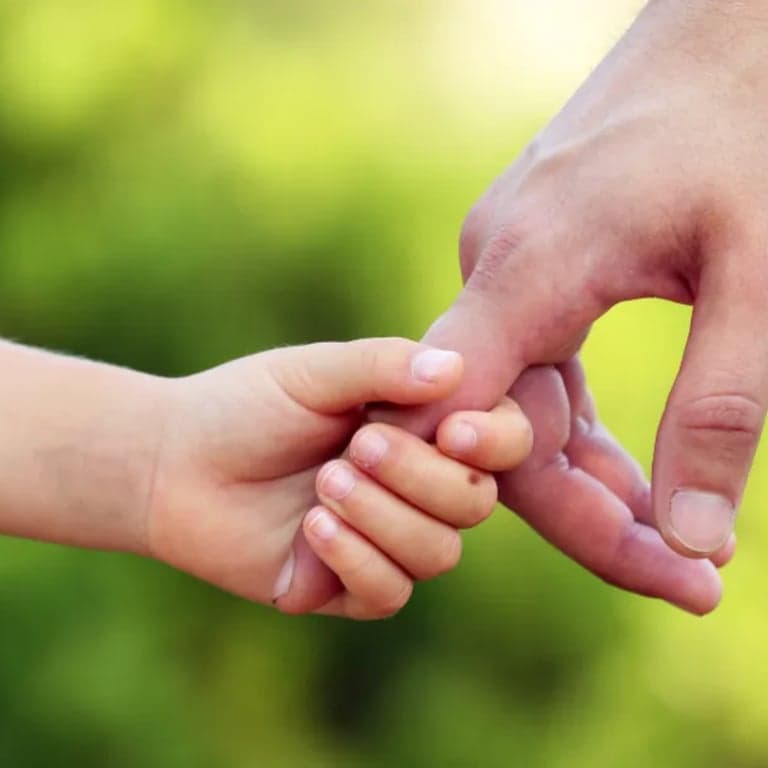 Elementary school Course | Exploring Attachment: The Power of Relationship