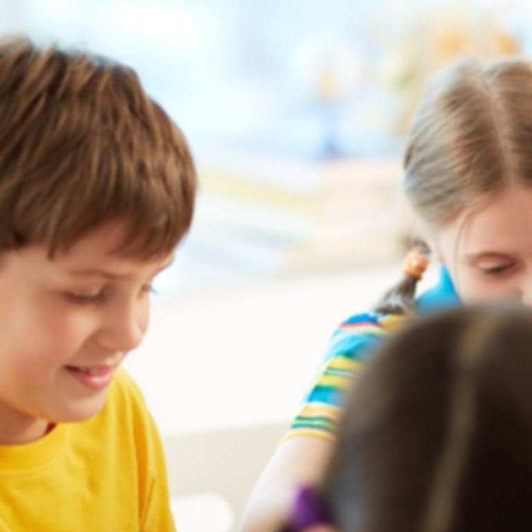 Elementary school Course | Designated Teacher's Development & Training Edition