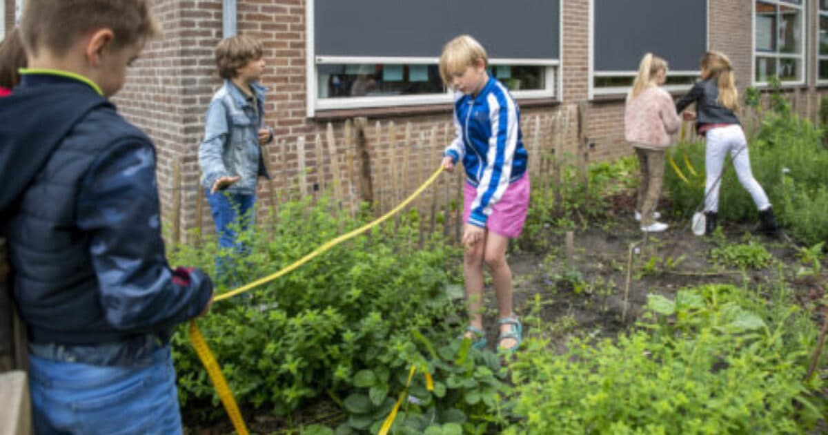 Food Forest Garden Seeks Zwolle Schoolyard