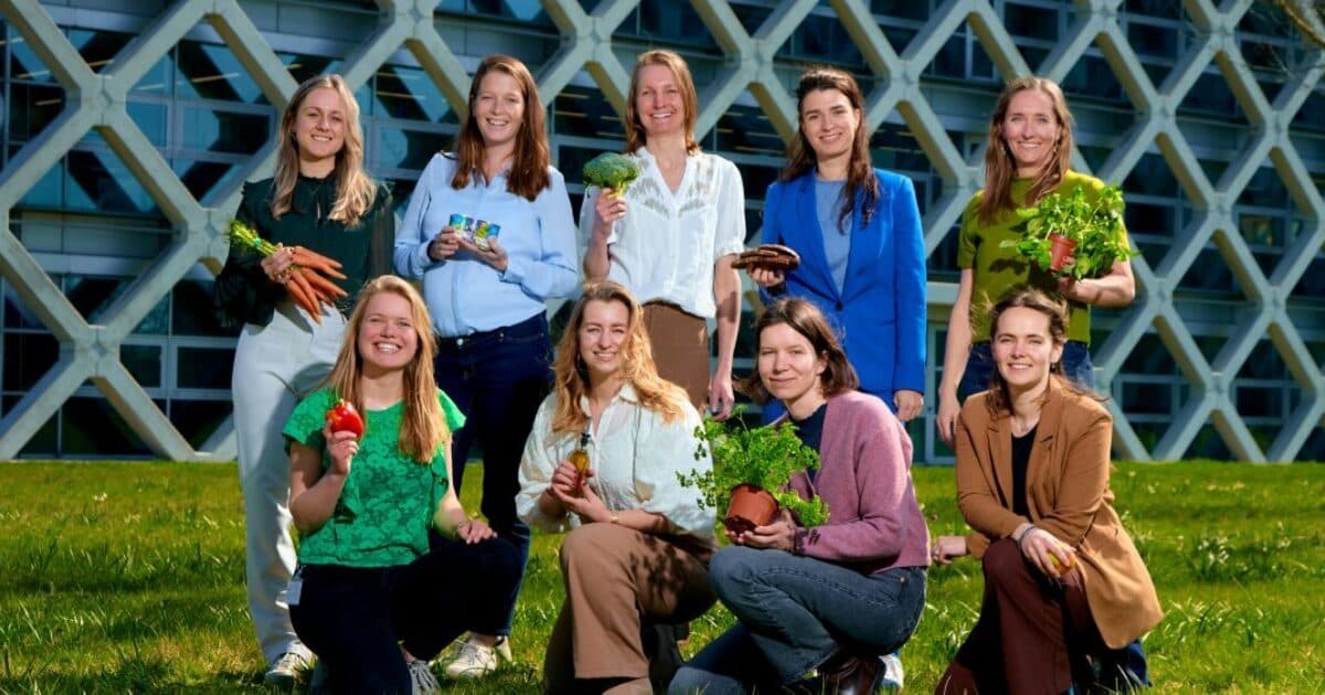 Smaaklessen nominated for the WUR Impact Award 2026