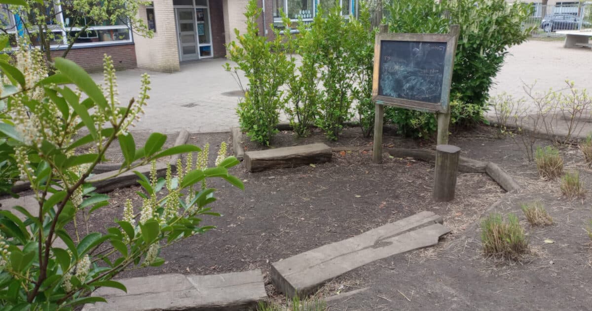 Subsidy for greening schoolyards of primary schools in Utrecht
