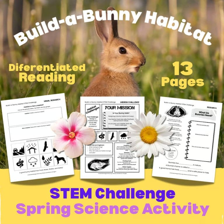Elementary school Lesson Package | Build-a-Bunny Habitat STEM Challenge, NGSS Aligned Spring Activity