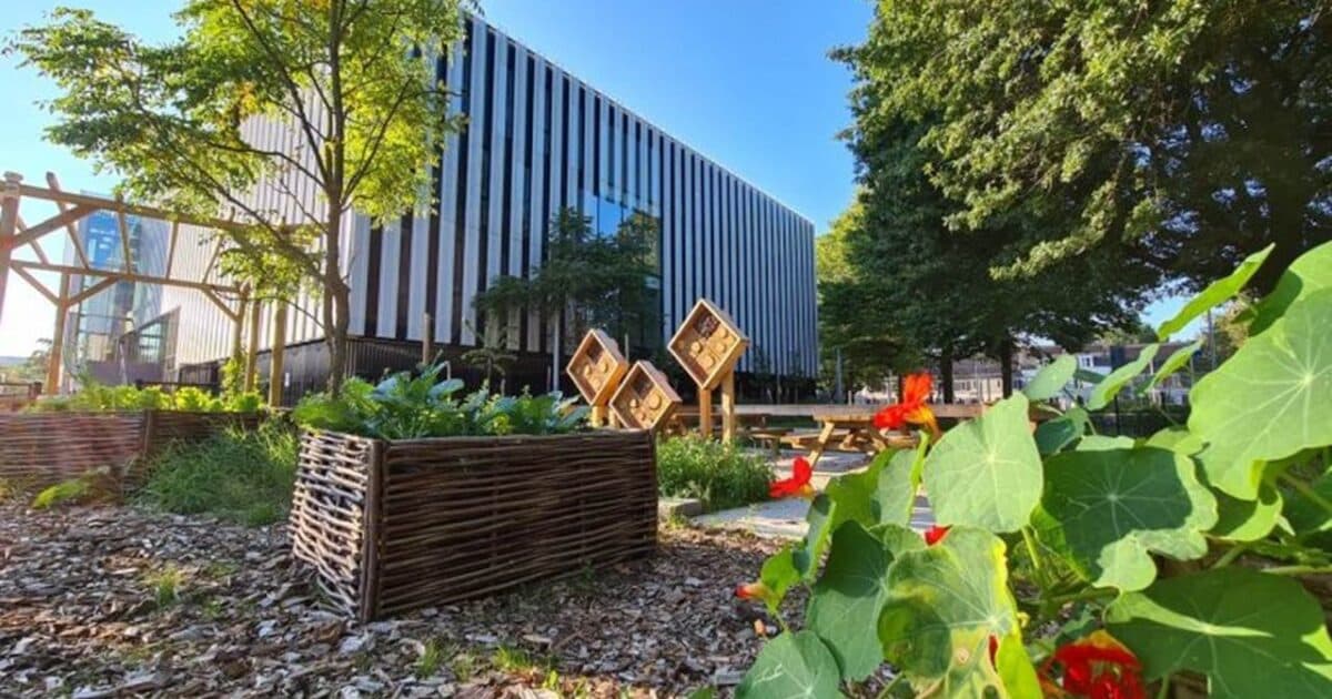 1 million euros available for green schoolyards in Brabant