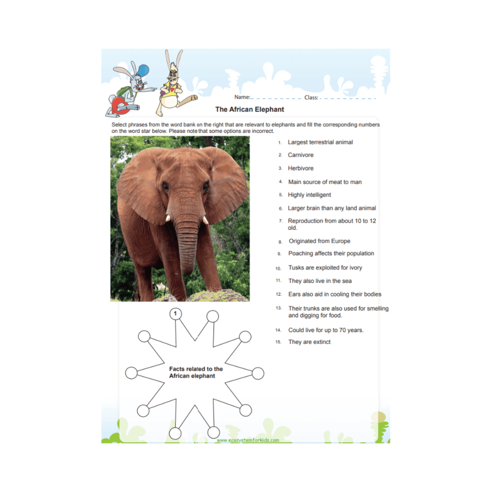 Elementary school Worksheet | The African Elephant