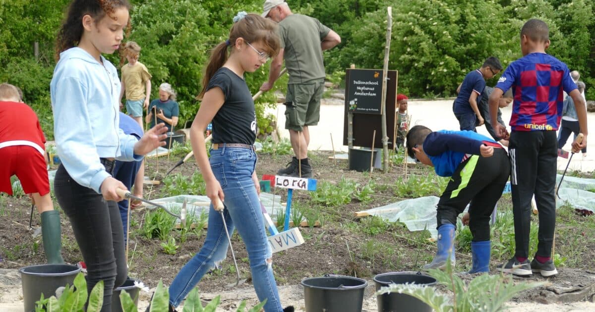 The Floriade School Garden, a joint school gardening project by Almere and Amsterdam
