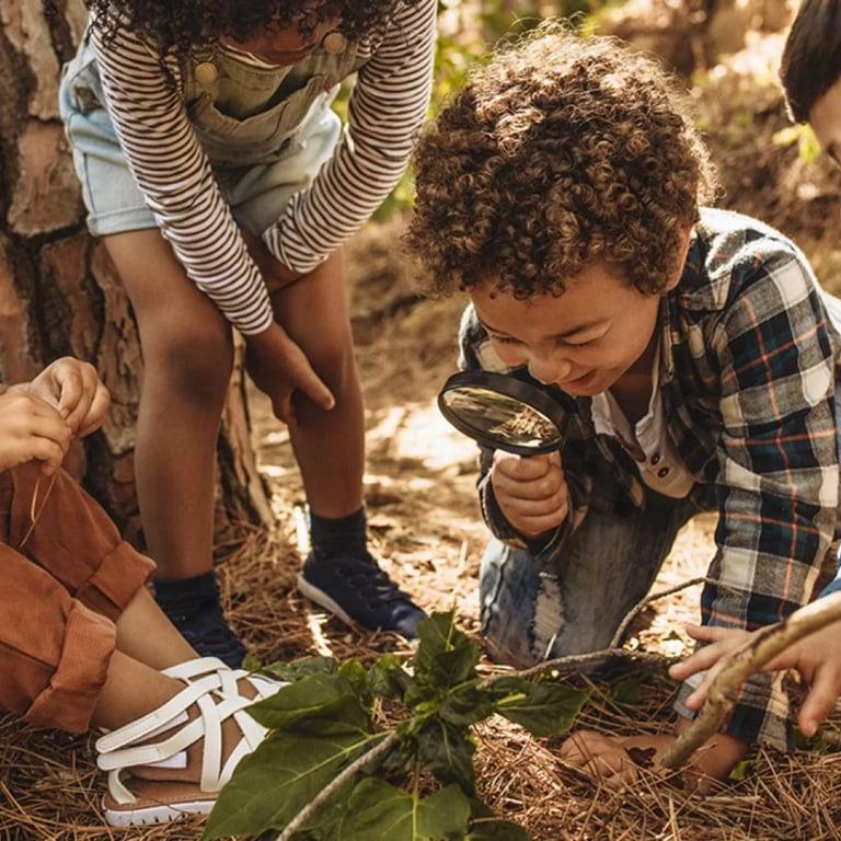 Elementary school Course | Outdoor Education Course