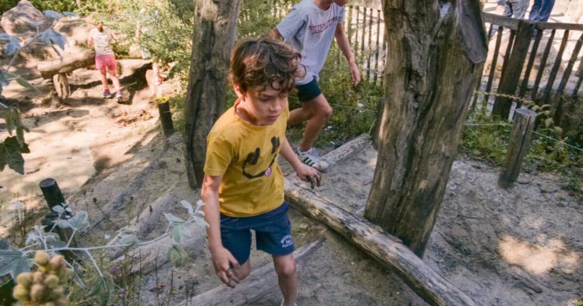 Better concentration and feeling better thanks to a green schoolyard