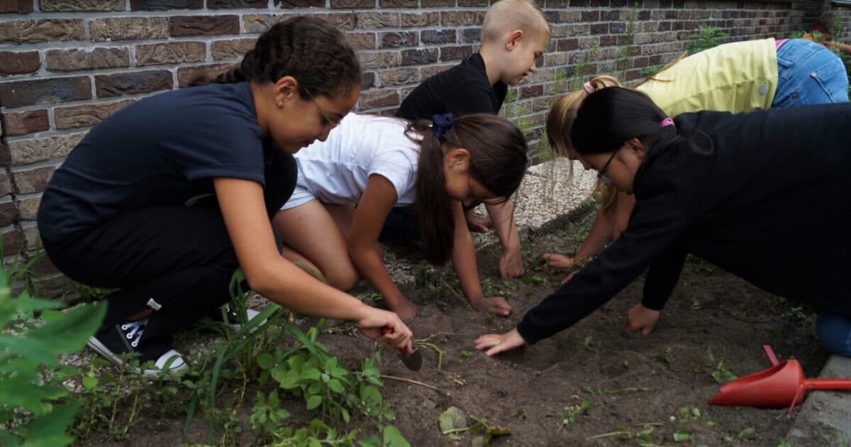 Eight tips for a green schoolyard