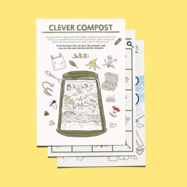 Elementary school Workbook | Digital - My Planet Workbook Colour (Printable)