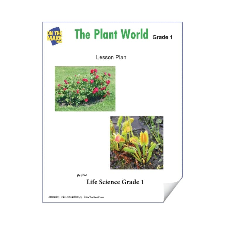 Elementary school Lesson Idea | The Plant World Grade 1 Lesson Plan and Activities
