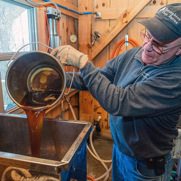 Elementary school Lesson Idea | From Sap to Syrup