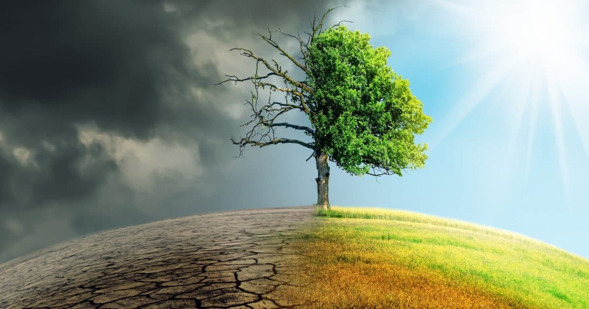 Raising Children in a Warming Climate