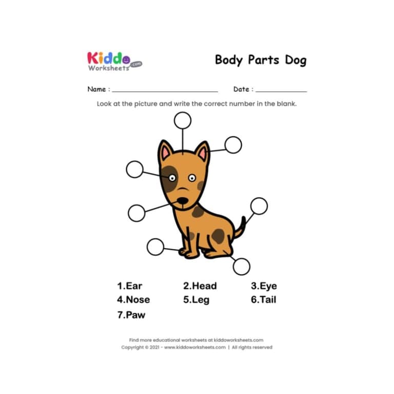 Elementary school Worksheet | Body Parts of Dog